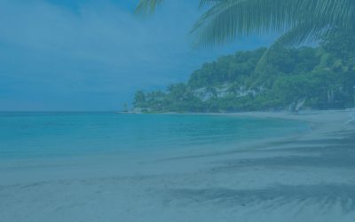 Horseback Riding in Montego Bay