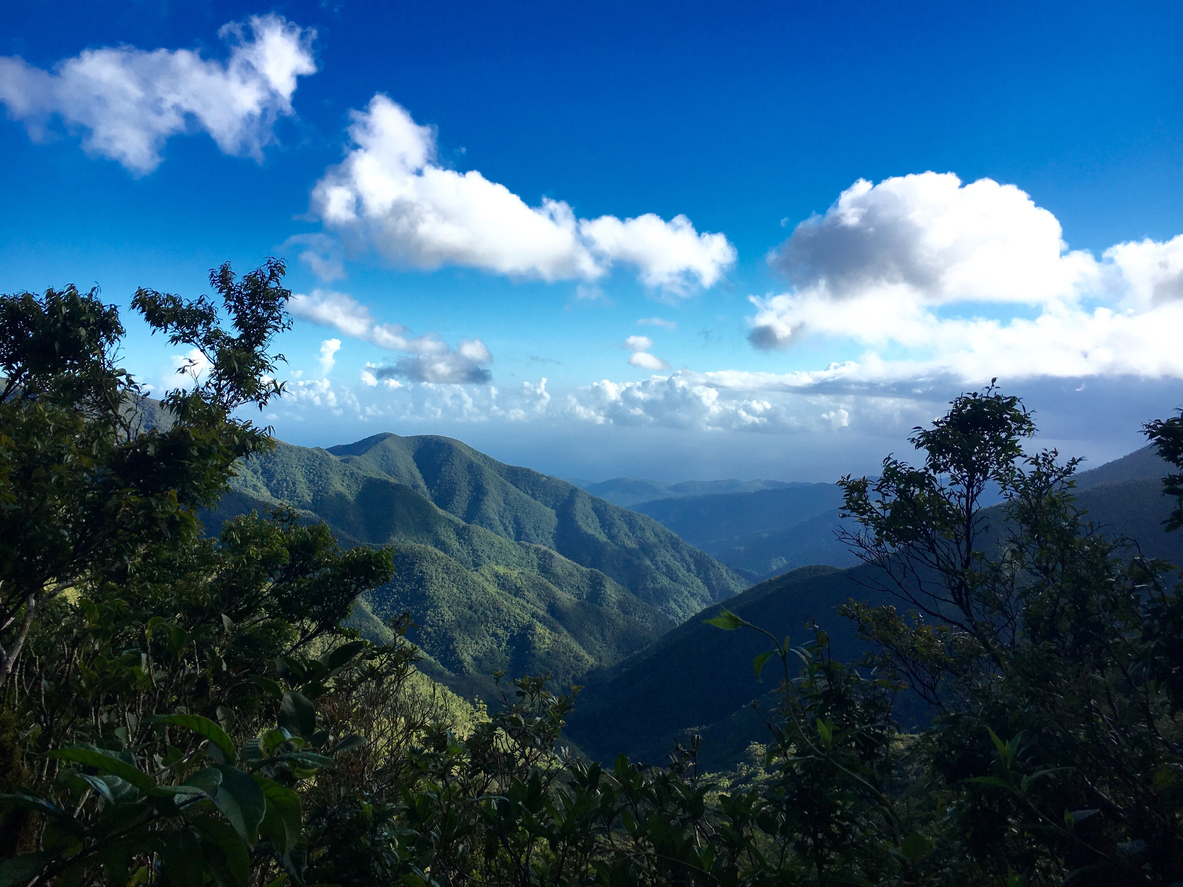 Panoramic view of the Blue Mountains Jamaica with lush green peaks and blue sky