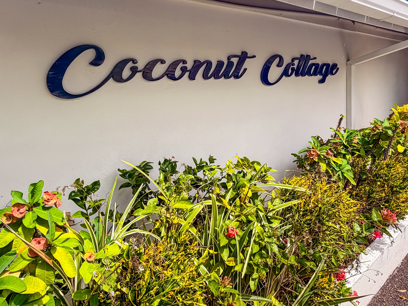 Coconut Cottage Montego Bay Jamaica