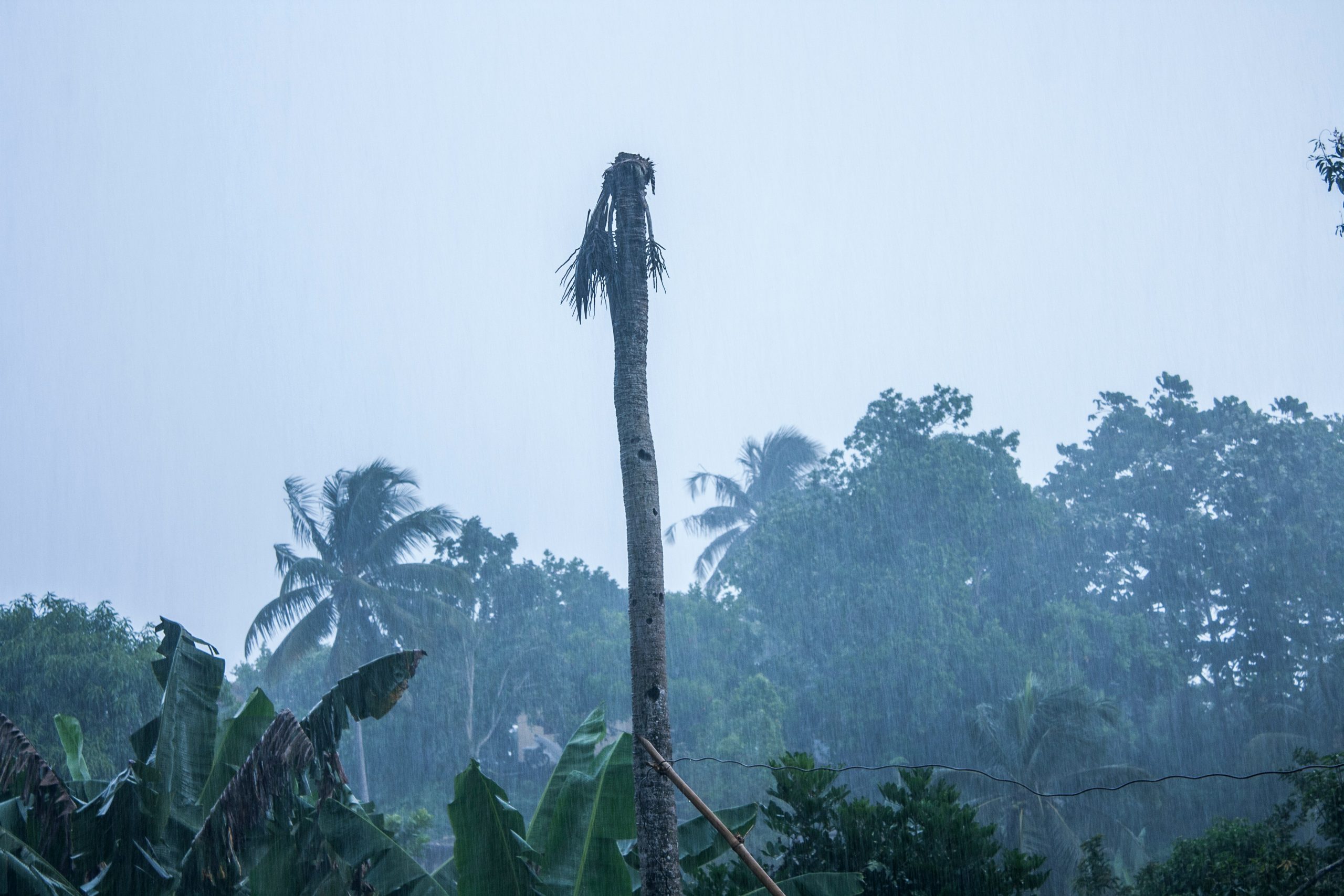 Jamaica rainy season