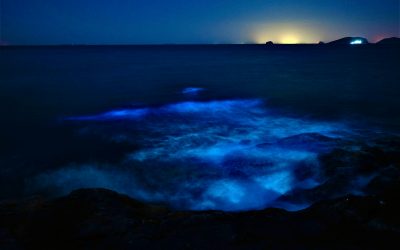 What to Do in Montego Bay at Night