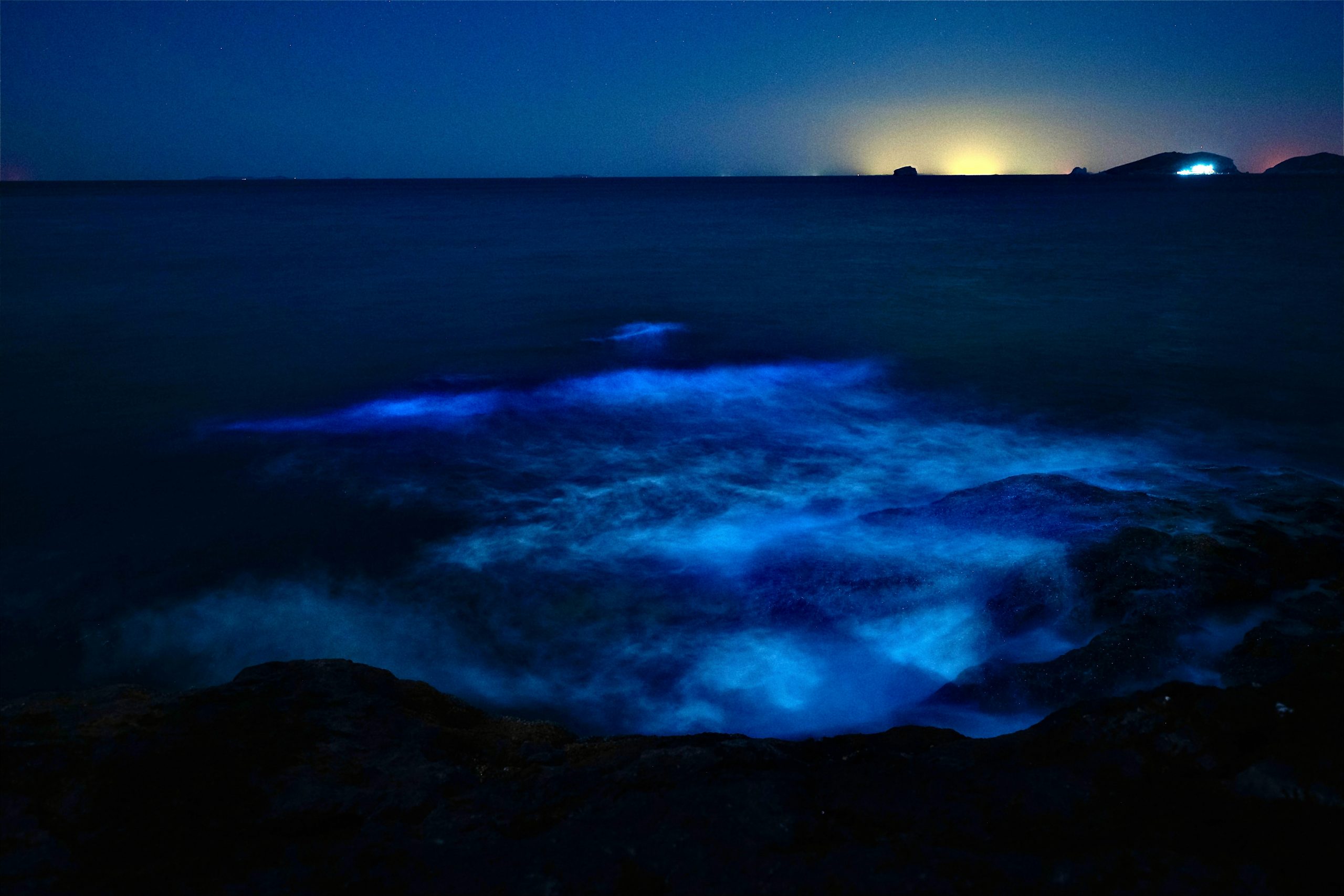 What to do in Montego Bay at night