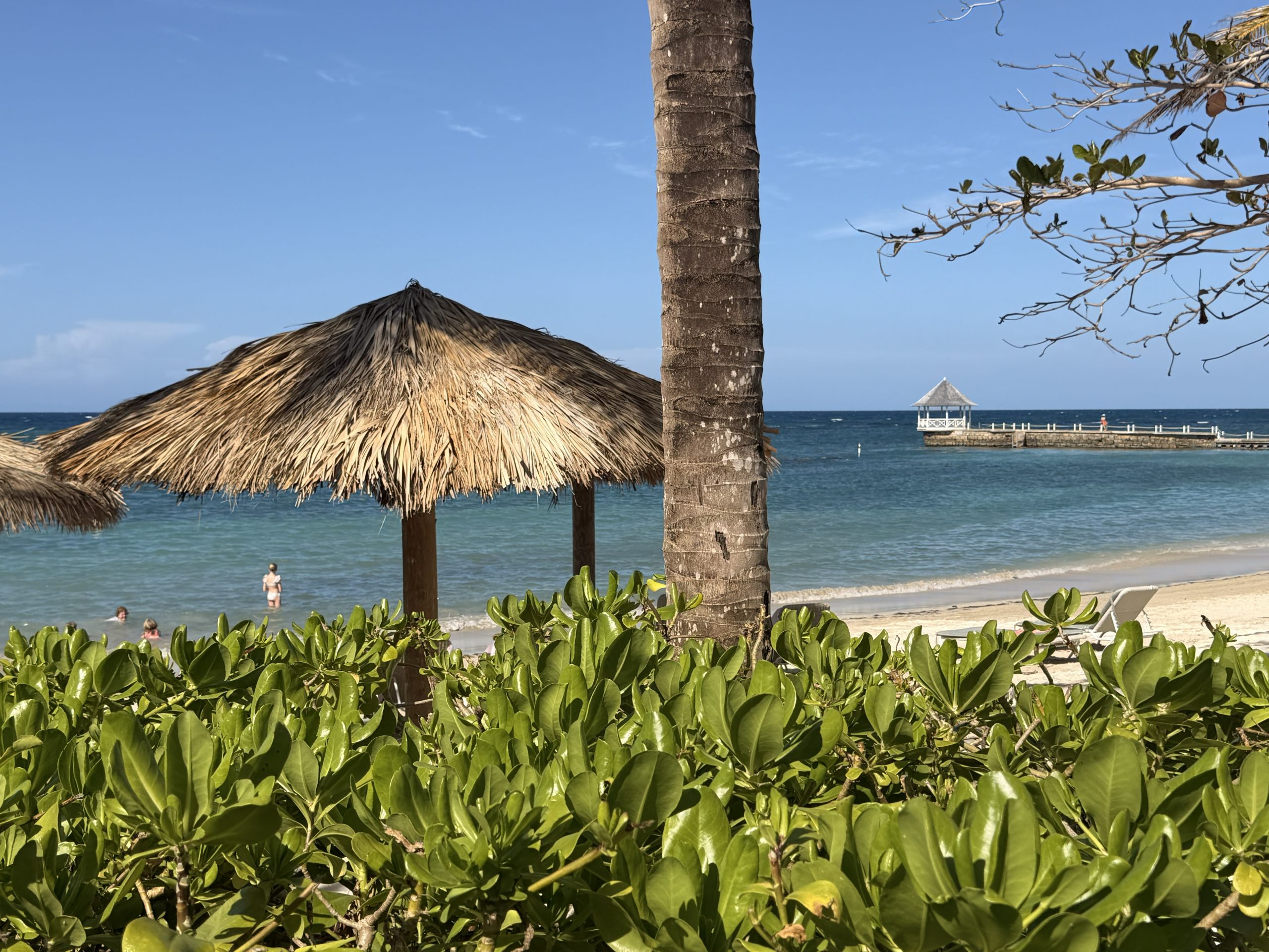 Tropical beach at Coconut Cottage Montego Bay with palm trees, thatched umbrellas and a wooden pier over turquoise water.