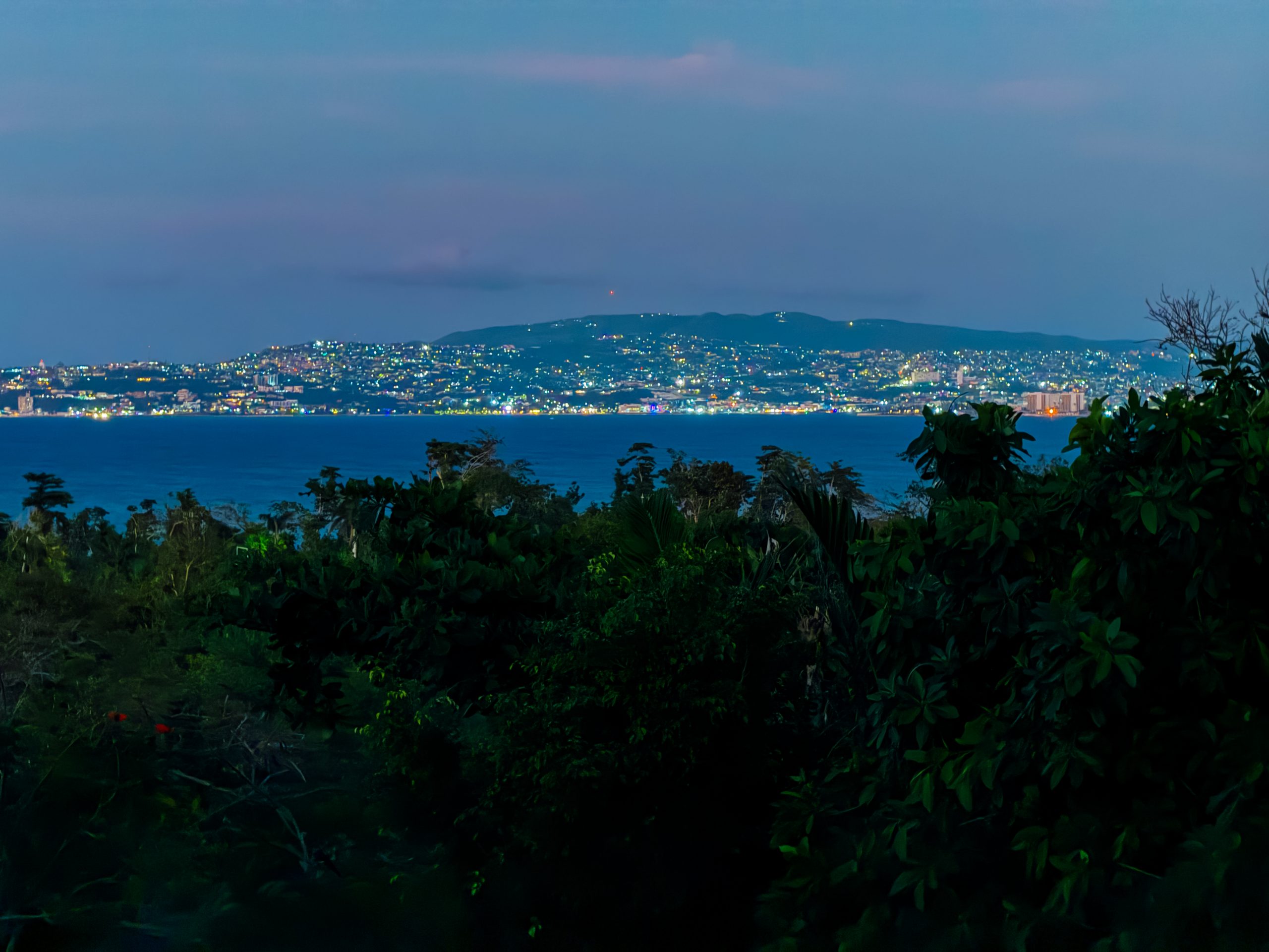 Nighttime view of Montego Bay with city lights reflecting across the water and tropical trees in the foreground.