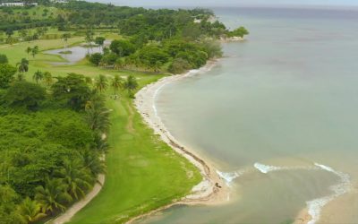 5 Best Things to Do in Montego Bay
