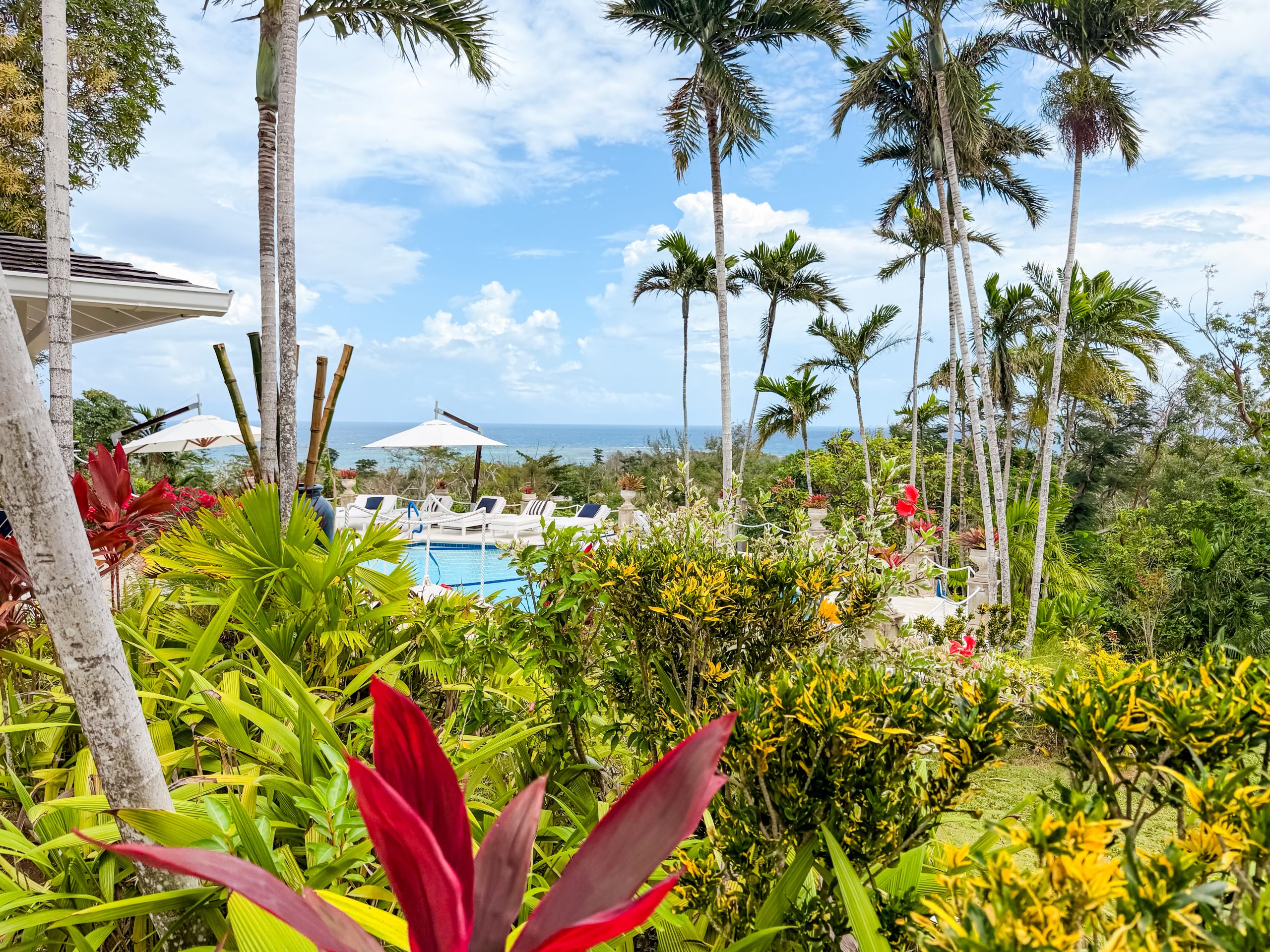 Montego Bay Travel Mistakes to Avoid. . Tropical garden view at Coconut Cottage with palm trees, vibrant foliage, a pool and ocean scenery in the distance.